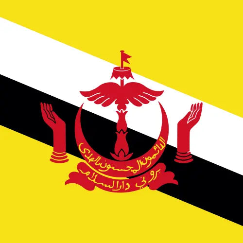 Brunei Darussalam eSIM data plan